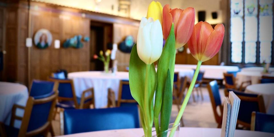 Spring 2025 women's breakfast: close up of tulips on table Spring 2025 women's breakfast: close up of tulips on table