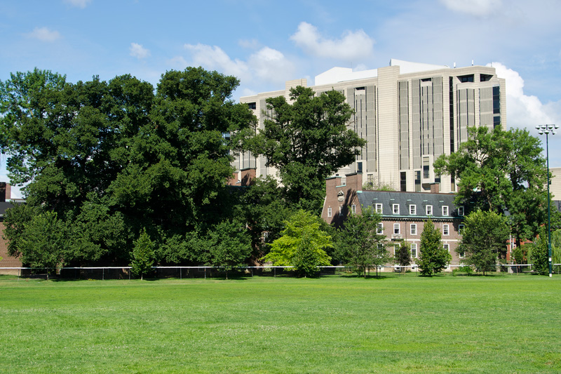 Robards Library in the background across a field