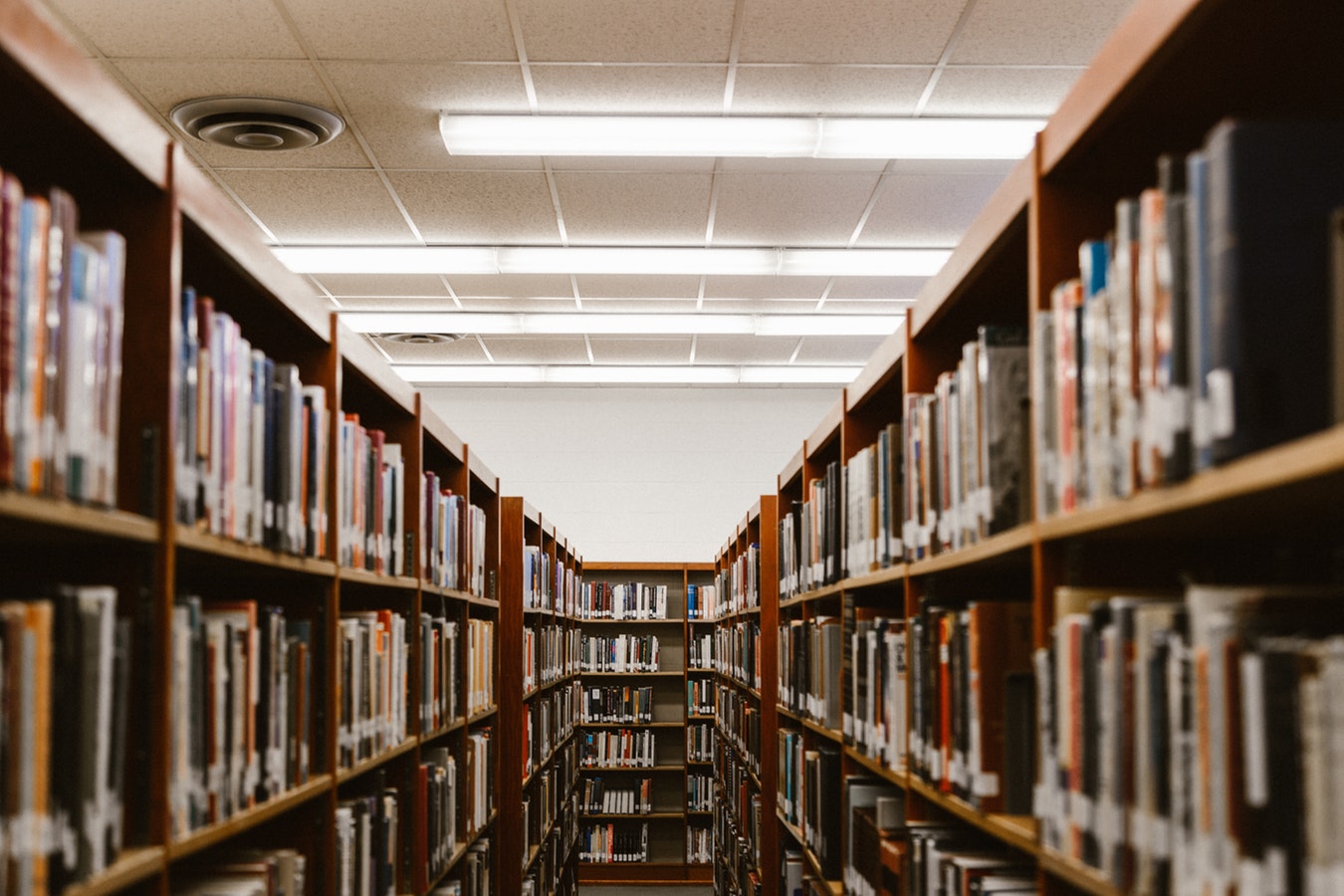 bookshelves in a library bookshelves in a library