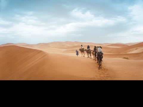 A camel caravan in the desert