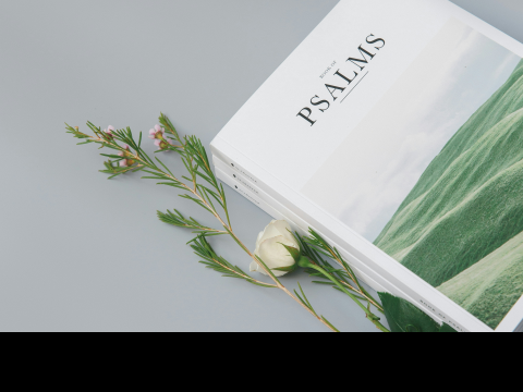 Marion Taylor blog on listening to the Psalms in other voices