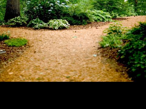 the new road fall 2024 blog by Catherine Hamilton two country roads 