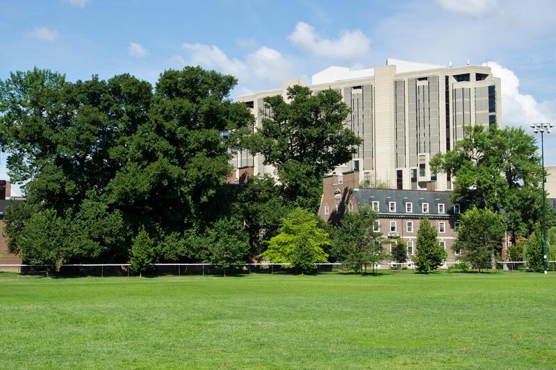 UofT Robarts and Field Toronto