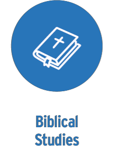 Biblical studies Biblical studies concentration icon