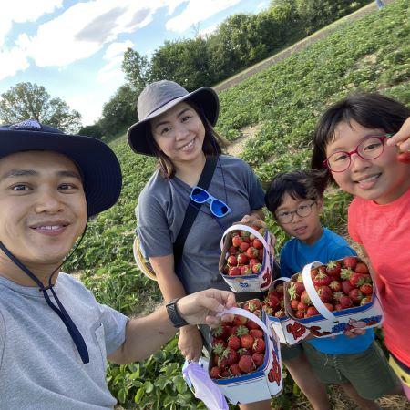 woman with family picking strawberries