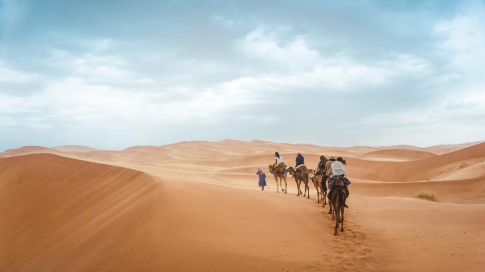A camel caravan in the desert