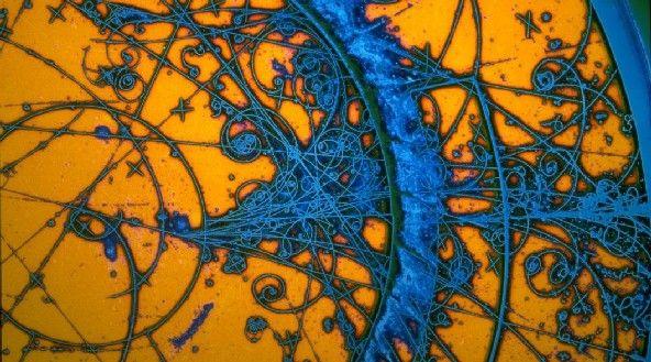 temporality